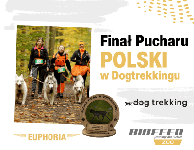 Podsumowanie dogtrekking