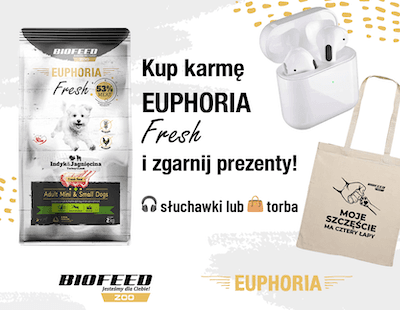 Euphoria_Fresh_Start