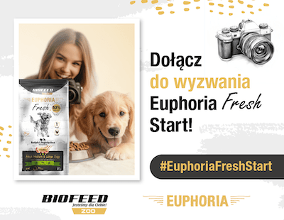 Fresh Start_KONKURS