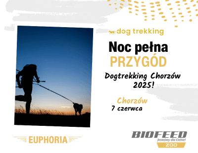 Chorzów - dogtrekking
