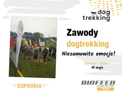 Dogtrekking Bielsko 2025