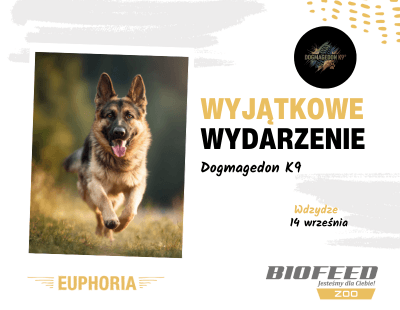Dogmagedon