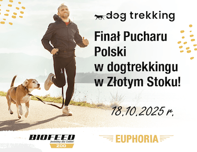 dogtrekking - złoty stok