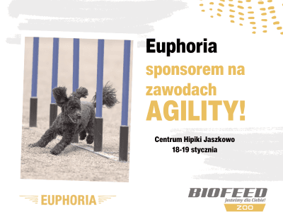 Euphoria Agility - Aktualności