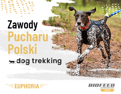 Euphoria_Aktualności_Dogtrekking.png