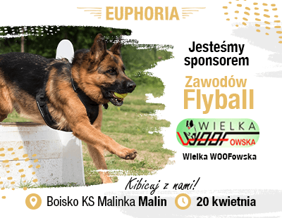 Euphoria_Aktualności_Flyball.png