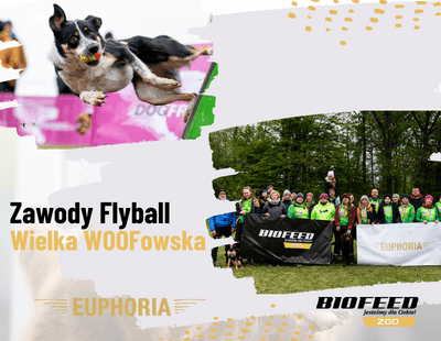 Flyball EUPHORIA zawody.png