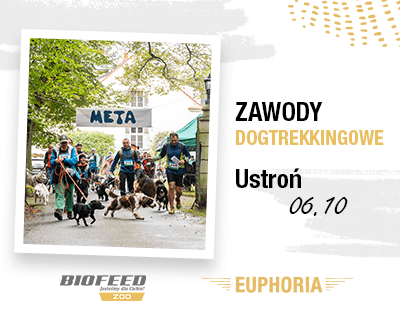 Ustroń - dogtrekking