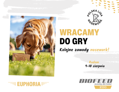 Kopia – Aktualności Euphoria (61).png