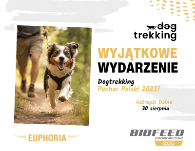 Ustrzyki dogtrekking
