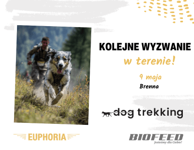 dogtrekking - Brenna