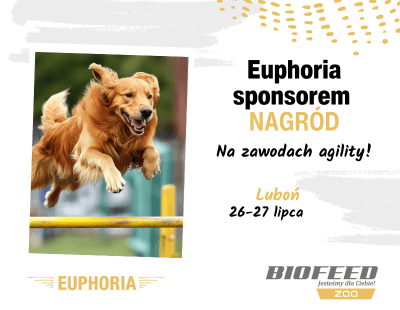 Luboń– Aktualności Euphoria (62).png