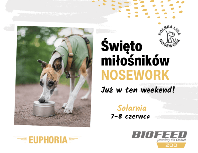 Nosework Solarnia
