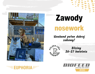 Nosework kwiecień 2025 –