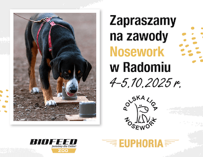nosework Radom