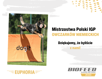 Owczarki - podsumowanie