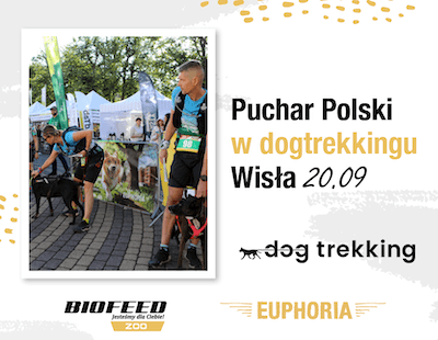 Wisła - dogtrekking