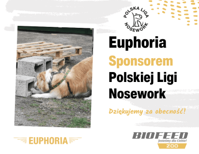 Katowice podsumowanie nosework
