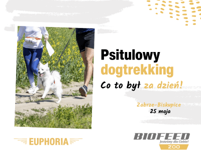 Podsumowanie Psitulowy Dogtrekking