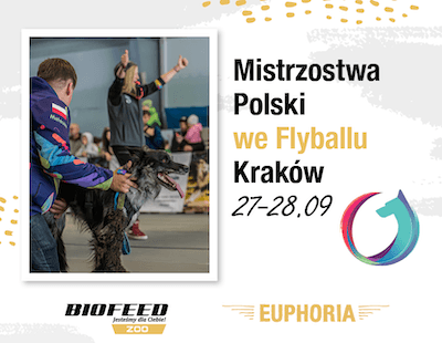 flyball kraków