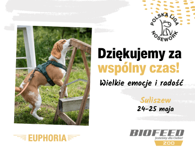 Podsumowanie Suliszew