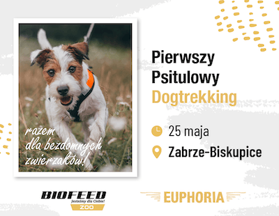 Psitulowy dogtrekking