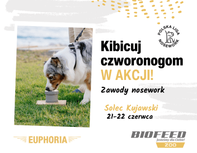 Solec Kujawski nosework