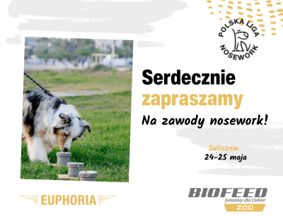 Suliszewo nosework 