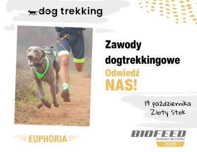 Złoty Stok - dogtrekking