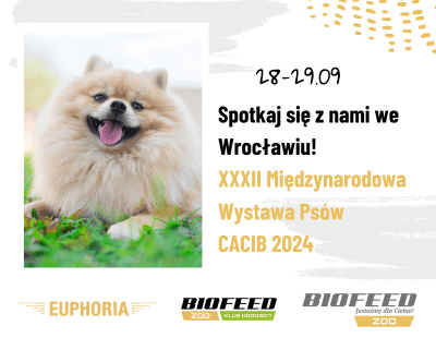 Wystawa we Wrocławiu