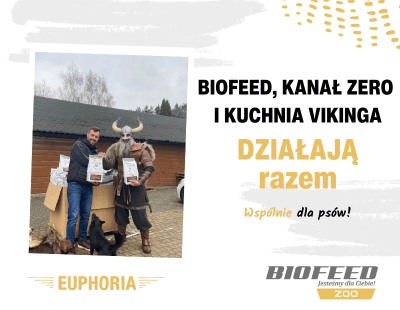 kocham psisko - przekazanie 