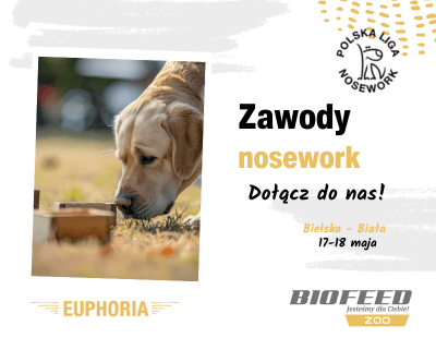 nosework Bielsko